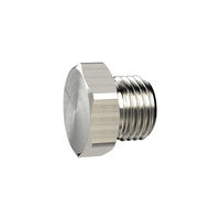 Riegler 137950.Locking screw, Exterior hexagonal, G 3/8, nickel-plated brass