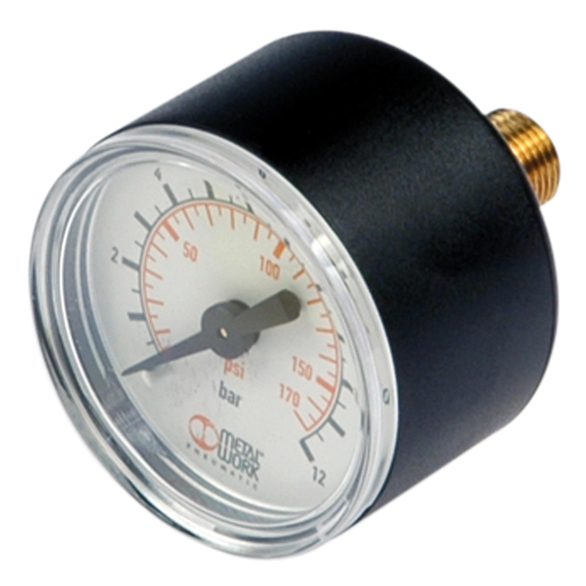 Pressure gauge Metal Work, G 1/8 rear centric, 0-12 bar, Ø 40 mm - Riegler 145470