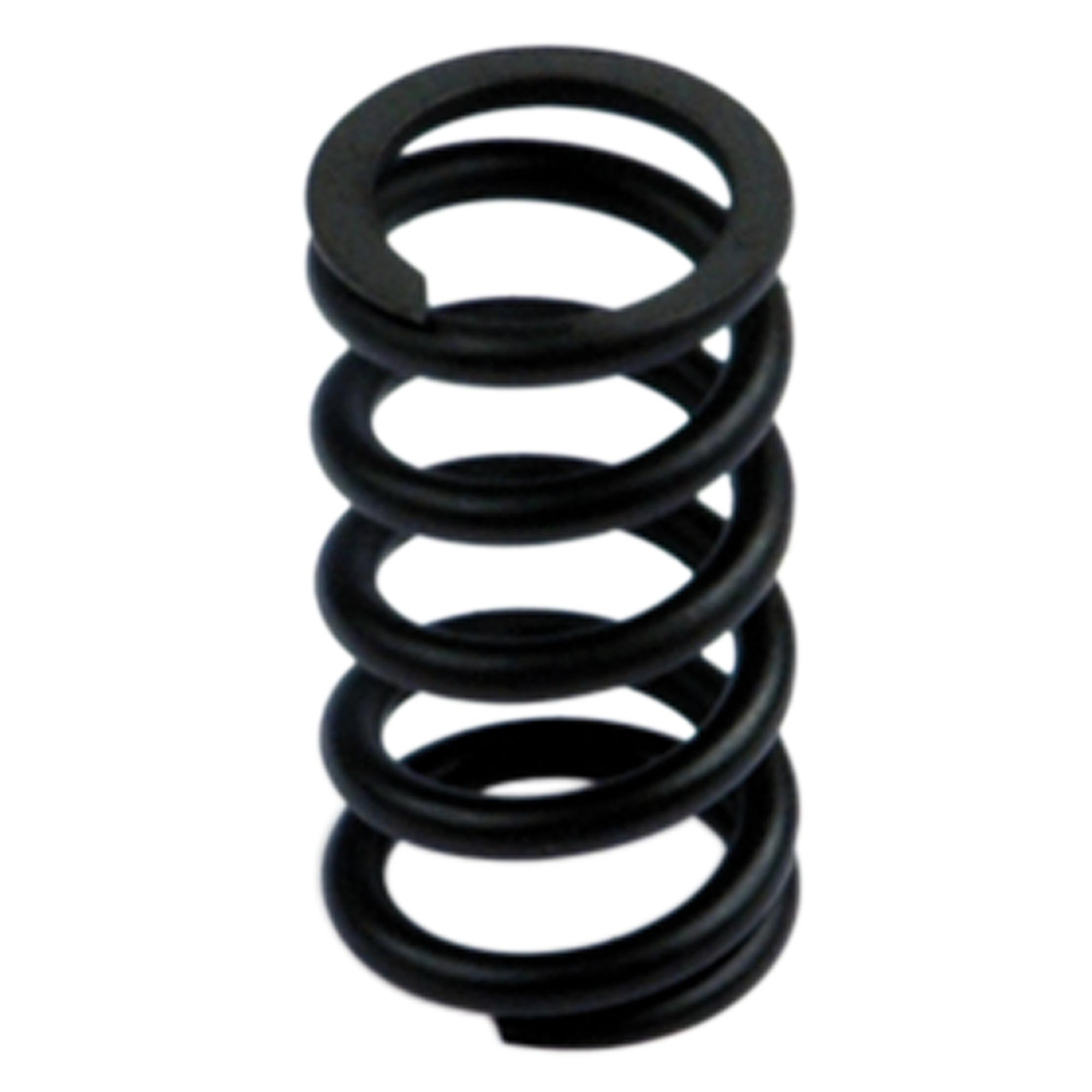 Spring »SYNTESI«, size 2, 0 - 8 bar - Riegler 145639