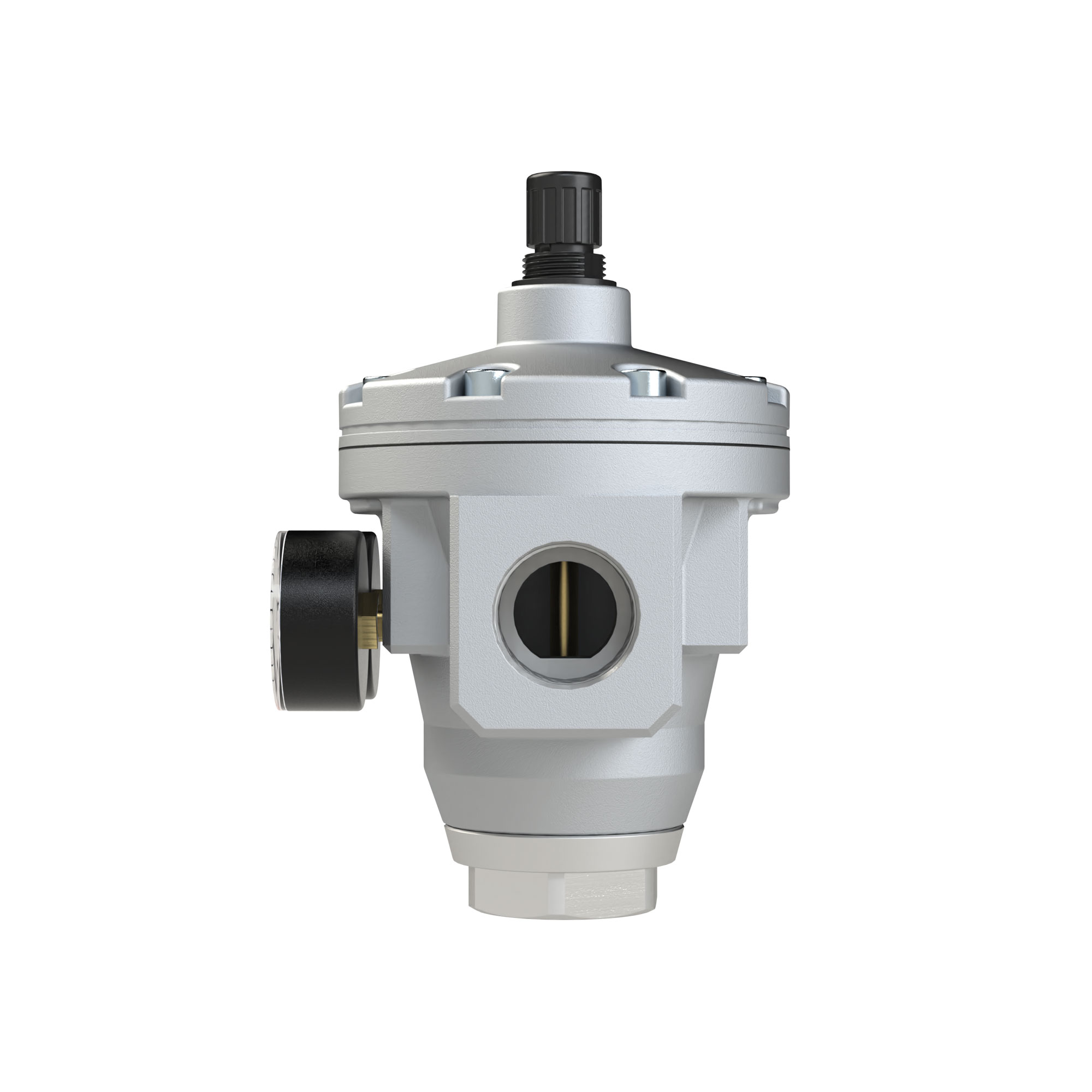 Large pressure regulator, 2 pressure gauges, G 2, 0.5 - 15 bar - Riegler 146278