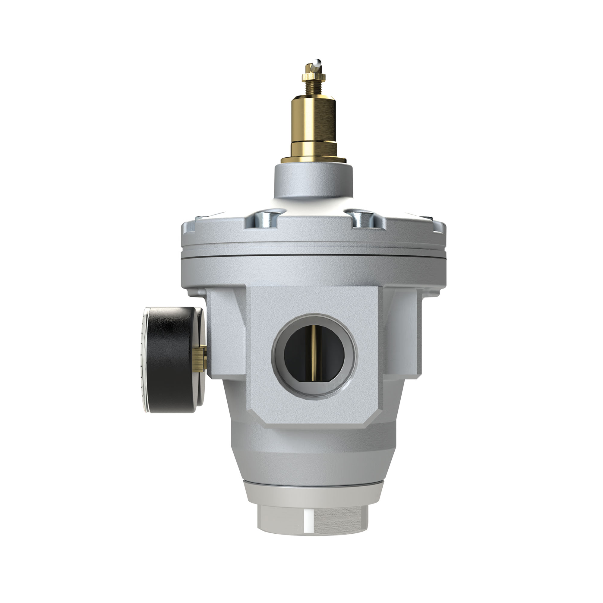 Large pressure regulator, 2 pressure gauges, G 1 1/2, 0.5-25 bar - Riegler 146275