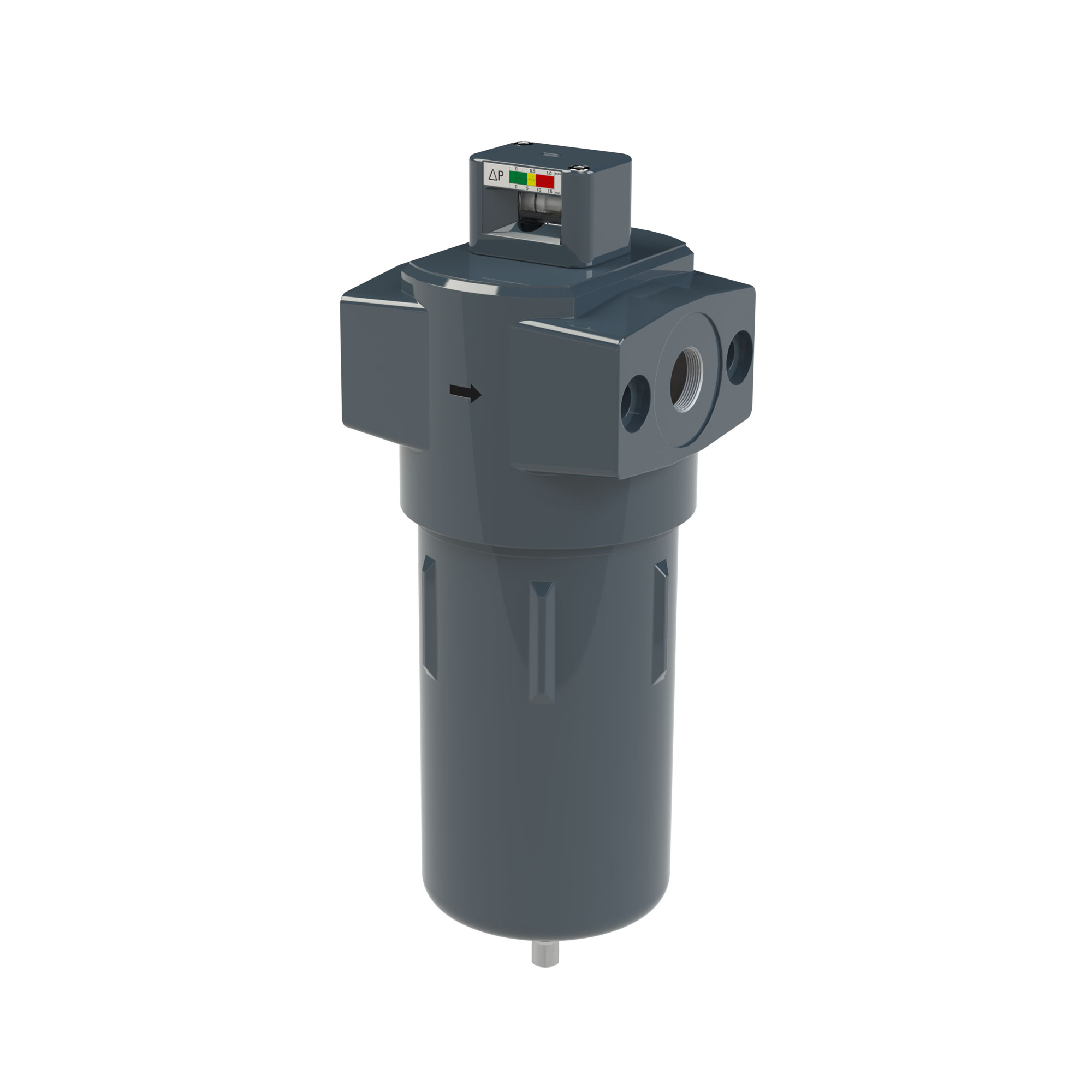 Pre-filter with differential pressure gauge, 1 µm, G 1/4 - Riegler 146925