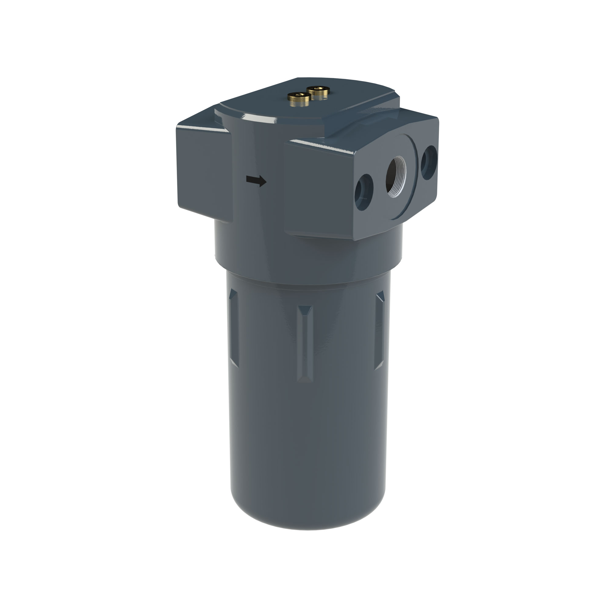 Active charcoal filter without diff.press.gauge, 0.003 mg/m³,G3/4 - Riegler 146963