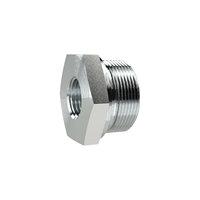 Riegler 159094.Long reducer, G 1/8 o., G 1/4 i., AF1 19, galvanised steel