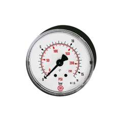 Riegler 101224.Standard pressure gauge, rear centric, G 1/4, 0 - 6 bar/87 psi