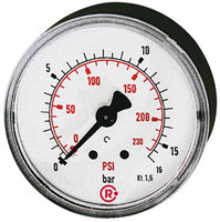 Riegler 101222.Standard pressure gauge, rear centric, G 1/4, 0 - 2.5 bar/36 psi