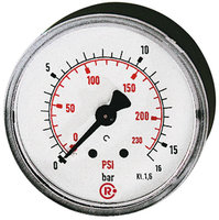 Riegler 101670.Standard pressure gauge, rear centric, G 1/8, 0 - 2.5 bar/36 psi