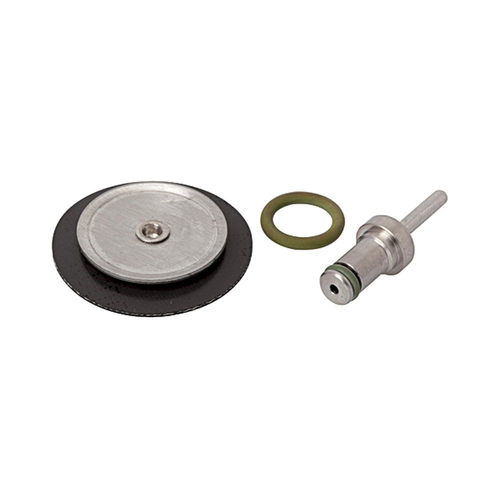 Riegler 101190.Wear part set, for stainless steel pressure regulator, G 1/4