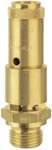 Riegler 104471.Full stroke safety valve DN 10, G 3/8, Trigger pressure 11 bar