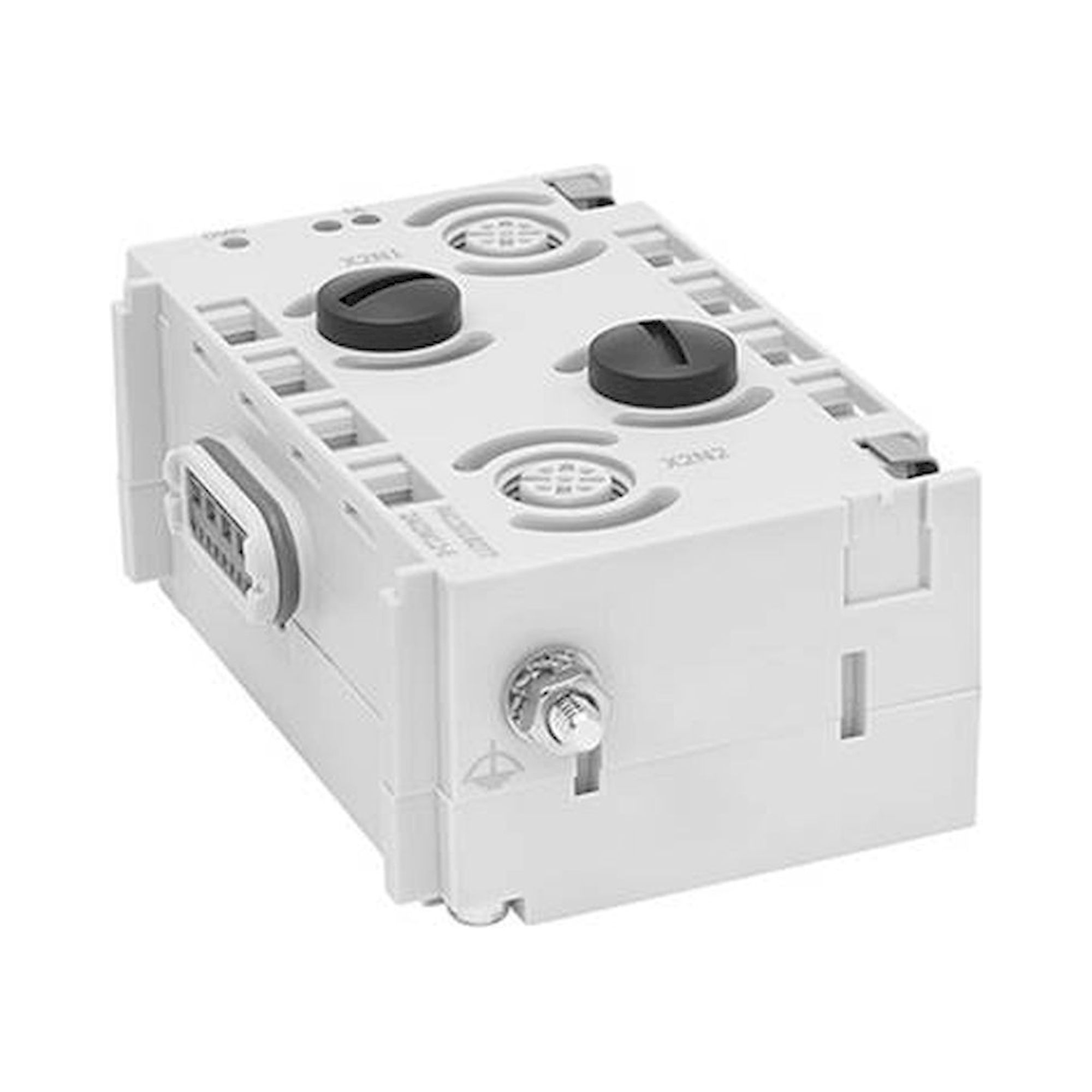 Serie AES, Analogue Module AES-D-IO-2AI2M - Aventics R412018277