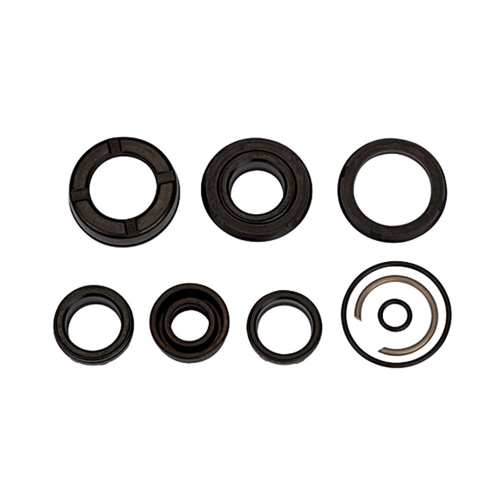 Riegler 106175.Seal set (wear part), for compact cylinder, Piston Ø 63, PU seal