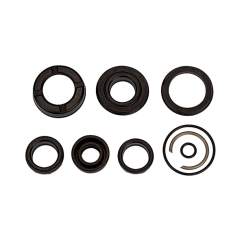 Riegler 106170.Seal set (wear part), for compact cylinder, Piston Ø 20, PU seal