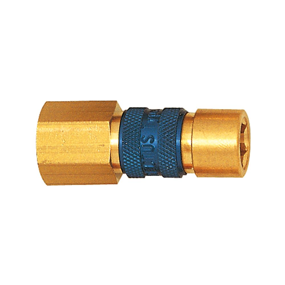 Riegler 107636.Captive quick-connect coupling I.D. 5, G 1/4 IT, blue