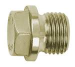 Riegler 111667.Locking screw, Exterior hexagonal and flange, G 1/8