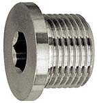 Riegler 111650.Locking screw, Hexagonal socket and flange, G 1, Stainless steel