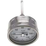 Wika TW 120100100 ES Bimetallthermometer, waagerecht D100/0 bis +120°C/100mm