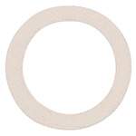 Riegler 114090.Sealing ring made of polyamide, for thread G 1/4, PU 100 pcs.