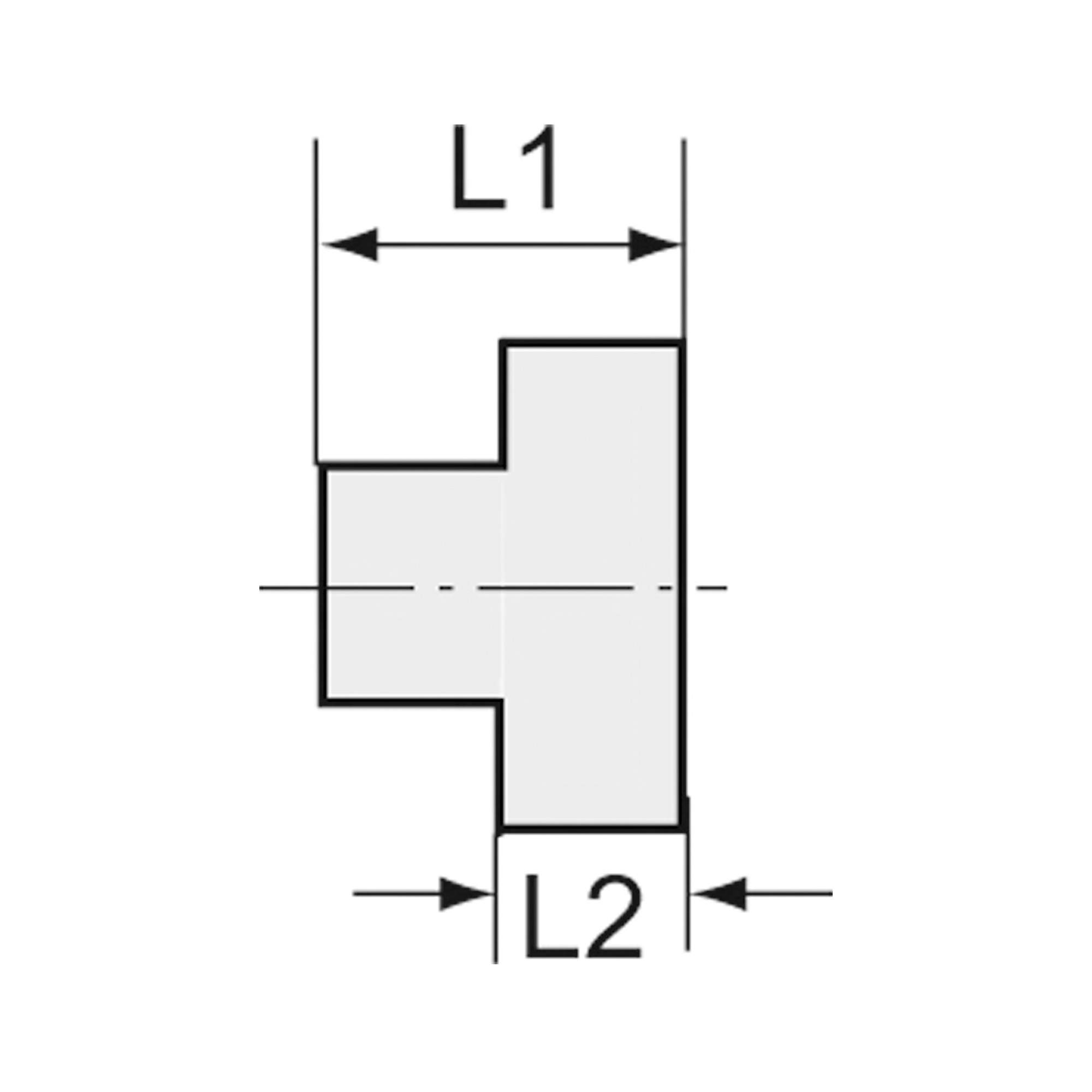 Verschlussstopfen, Vierkant, G 1 1/4, SW 23, Edelstahl 1.4408 - Riegler 111851