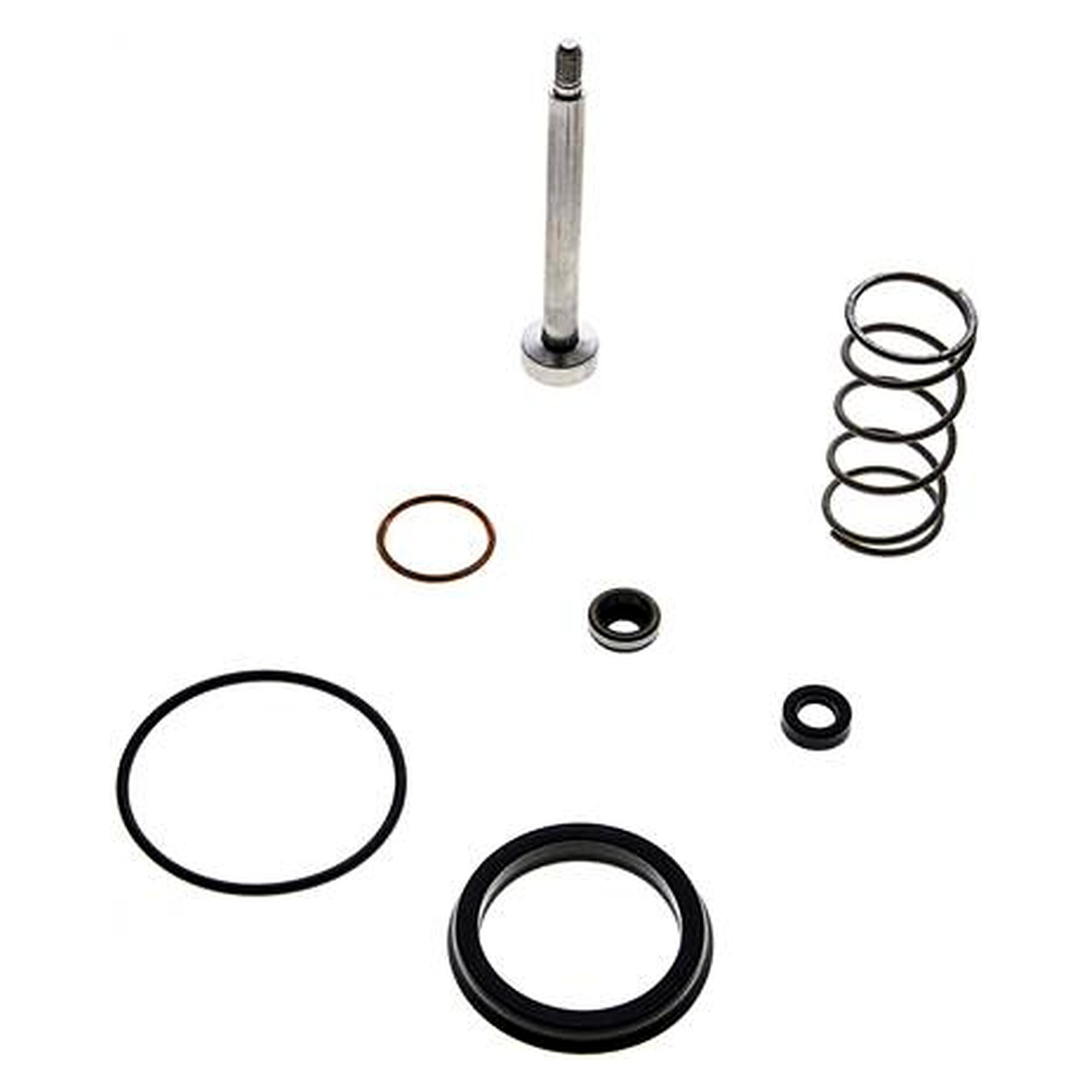 Repair kit for a pneumatically actuated angle seat valve, brass