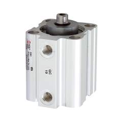 Riegler 105916.Short stroke cylinder double-acting, PistonØ 25, Stroke 40, G 1/8