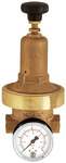 Riegler 101436.Pressure regulator DRV 250, Low pressure design, G 1/2, 0.2-2 bar