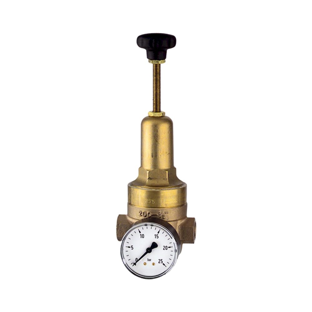 Riegler 101441.Pressure regulator DRV 225, High pressure design, G 1, 1.5-20 bar