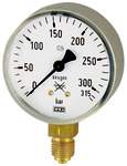 Riegler 101295. Manometer neutral, G 1/4 radial unten, Messber. 0 - 400 bar, Ø 63