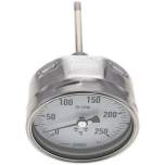 Wika TW 250100100 ES Bimetallthermometer, waagerecht D100/0 bis +250°C/100mm