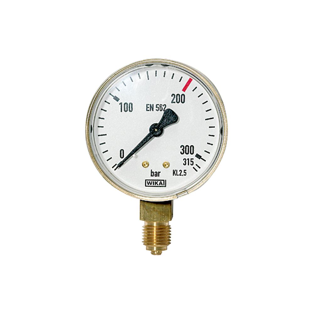 Riegler 101290. Manometer neutral, G 1/4 radial unten, Messber. 0 - 315 bar, Ø 63