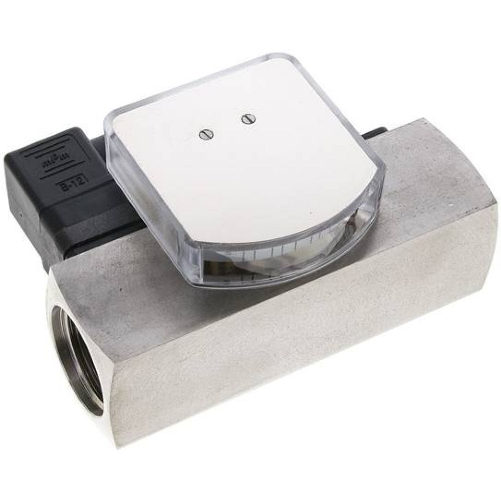 DMWV 10-24 ES Durchflussmesser/-wächter, 8-24 l/min, 1.4571