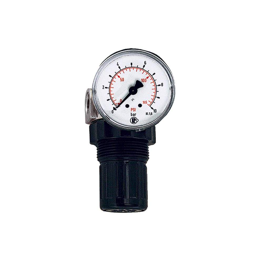 Riegler 101305.Pressure regulator for water, pressure gauge, G 1/4, 0.5 - 10 bar