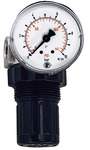Riegler 101303.Pressure regulator for water, pressure gauge, G 1/4, 0.1 - 3 bar