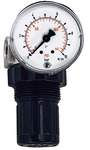 Riegler 101305.Pressure regulator for water, pressure gauge, G 1/4, 0.5 - 10 bar