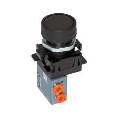 Riegler 106399.3/2-way miniature valve, manual, Push button, NC, M5 side