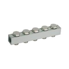 Riegler 106613.Supply strip for the way valves, with 5 valve positions, G 1/8