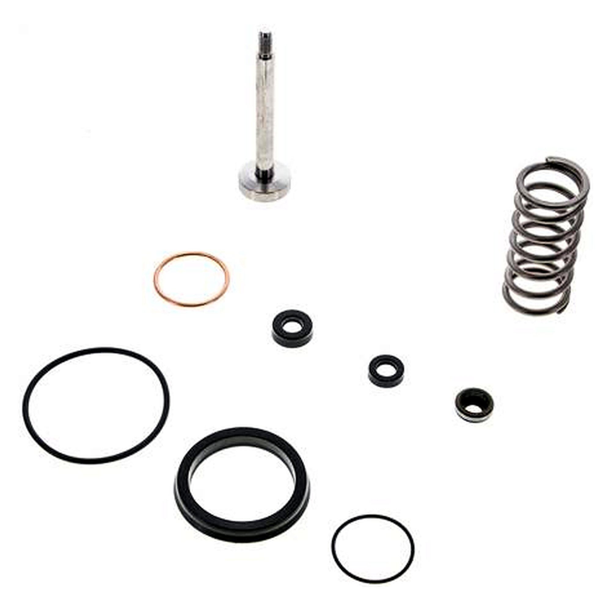 Repair kit for a pneumatically actuated angle seat valve, brass