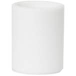 Riegler 137120.Replacement filter element for filter and filter regulator