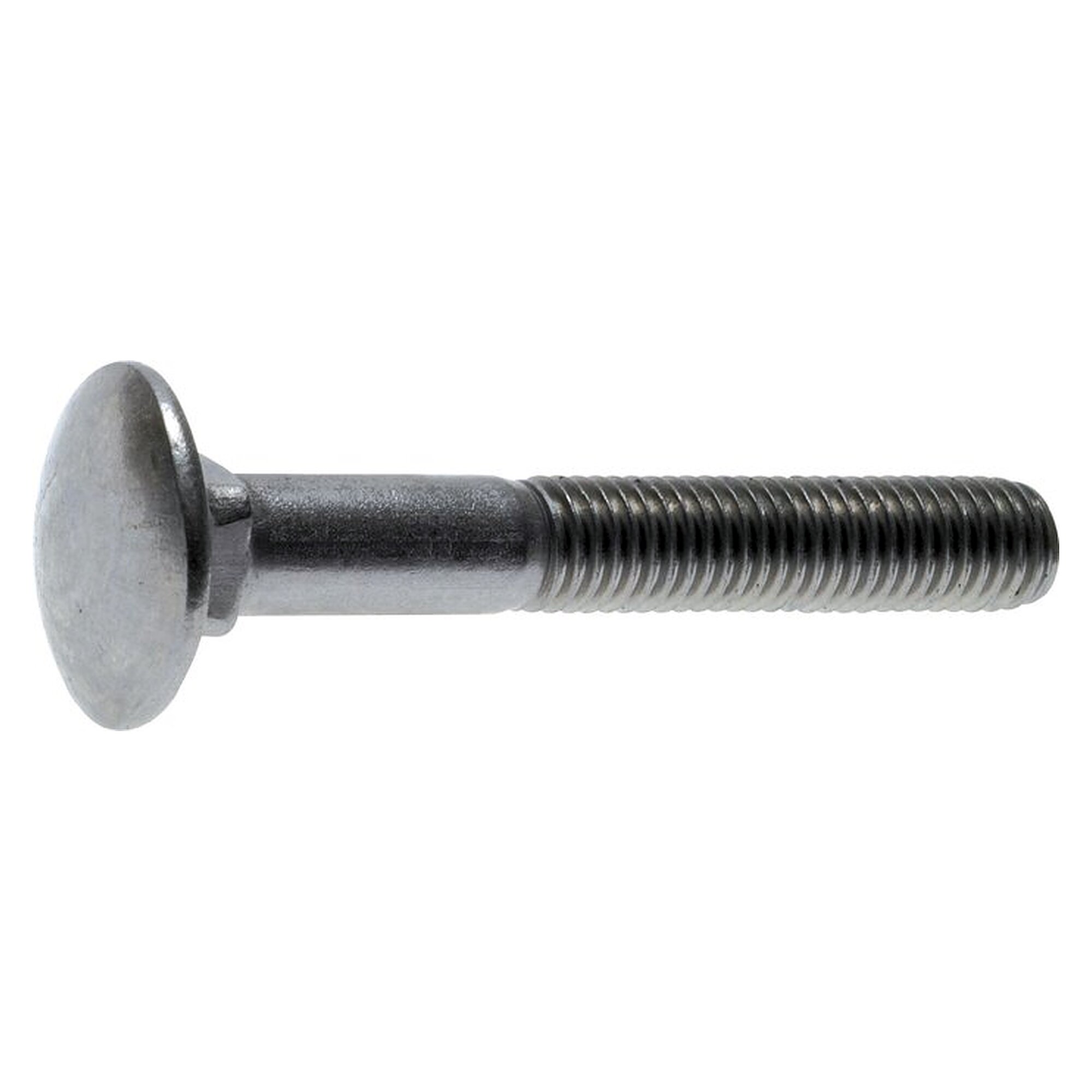 Carriage bolt DIN 603 with square neck, M 8x30, stainless steel A2 (without nut)