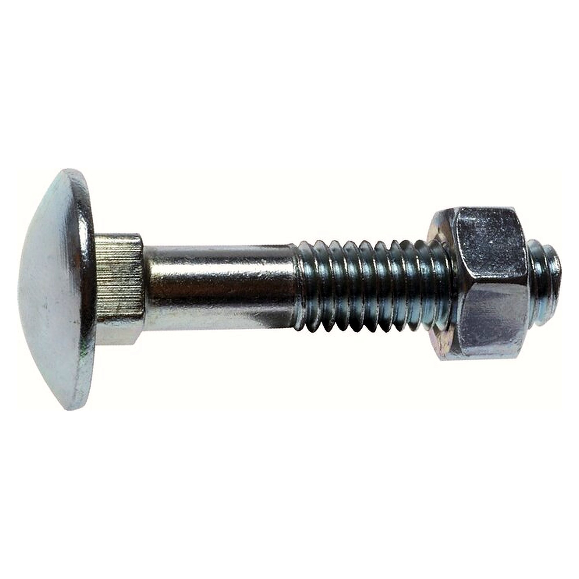 Carriage bolt DIN 603 with square neck, M 8x100, zinc-plated steel 3.6 / 4.6