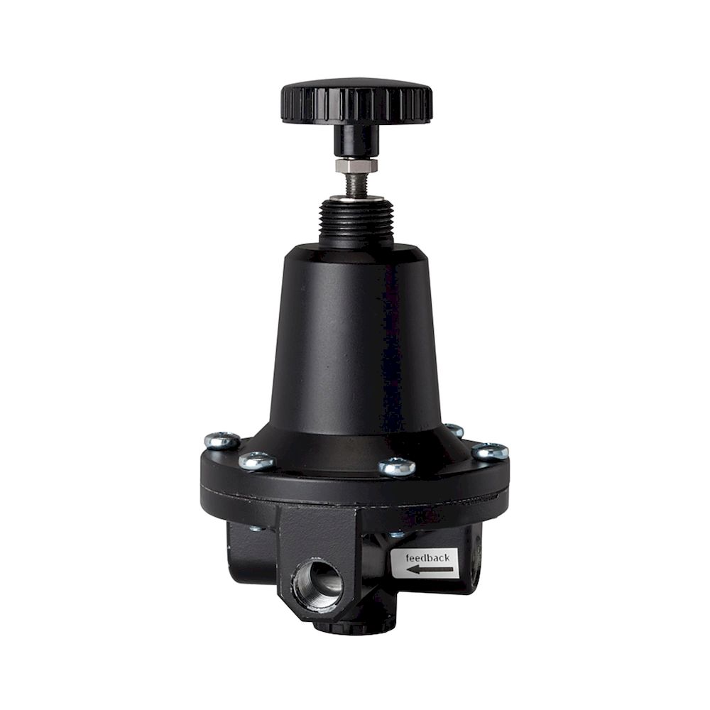 Riegler 101250.Precision control air regulator (feedback controller), G 1/4