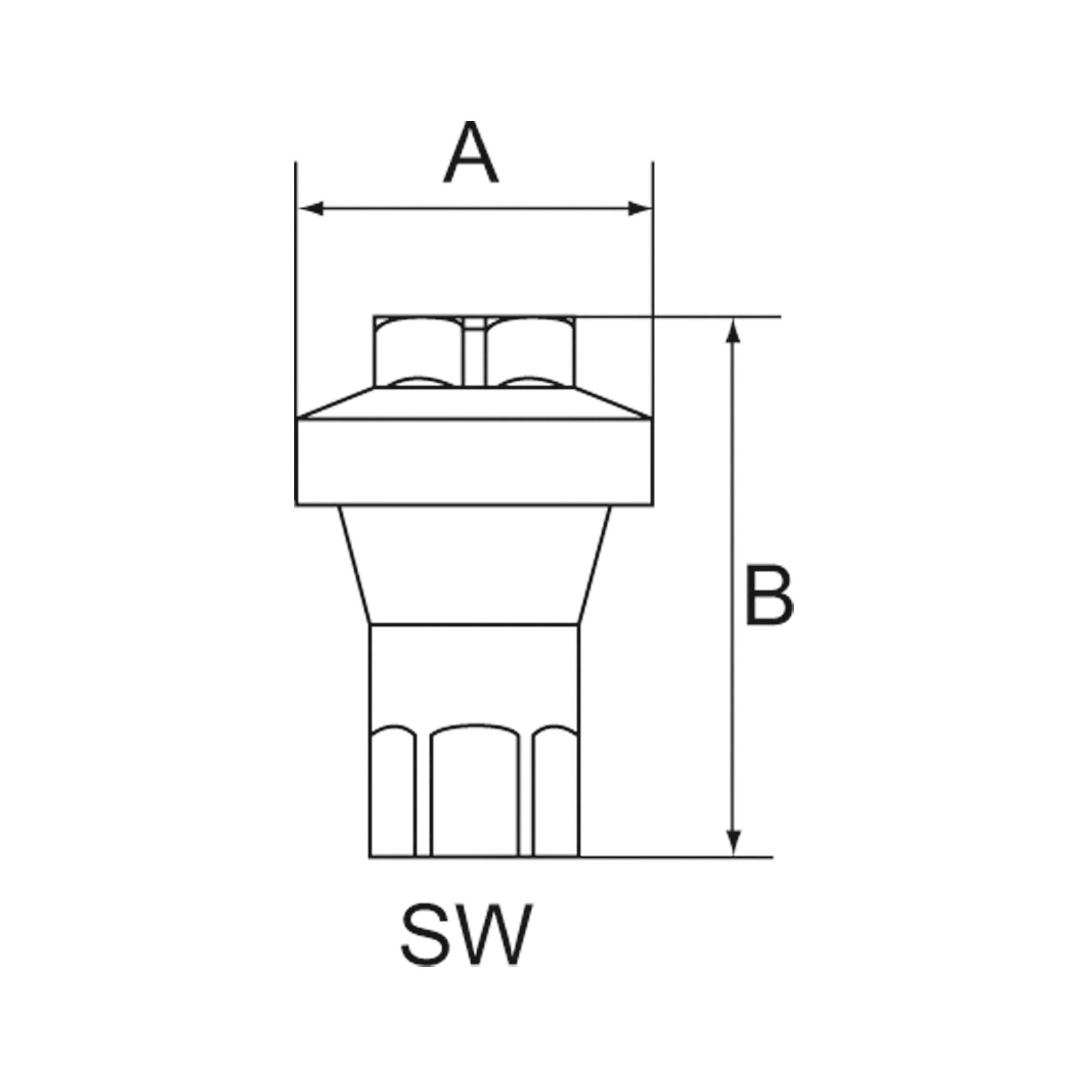 Inline pressure regulator for water / air, G 1/4, pre-set 5 bar - Riegler 150634