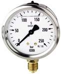 Riegler 102116.Glycerine pressure gauge, radial bottom, G 1/4, 0 - 25 bar, Ø 63