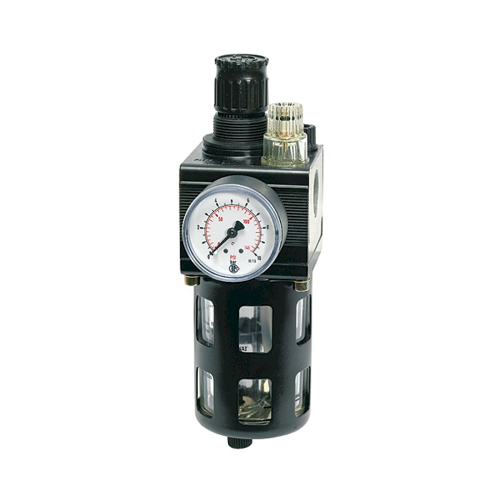 Riegler 101098.Combi-service unit, Protective cage, Size 1, G 1/4, 0.5 - 10 bar