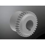 KTR 10242001500. BoWex 24 SINT hub 1.0 Ø15H7 Nut DIN 6885/1-JS9