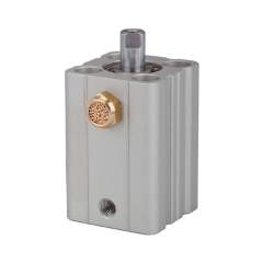 Riegler 115170.Short stroke cyl., single-acting, Piston Ø 16, Stroke 5, M5x0,8