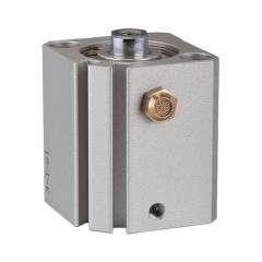 Riegler 115179.Short stroke cyl., single-acting, Piston Ø 20, Stroke 30, M5x0,8