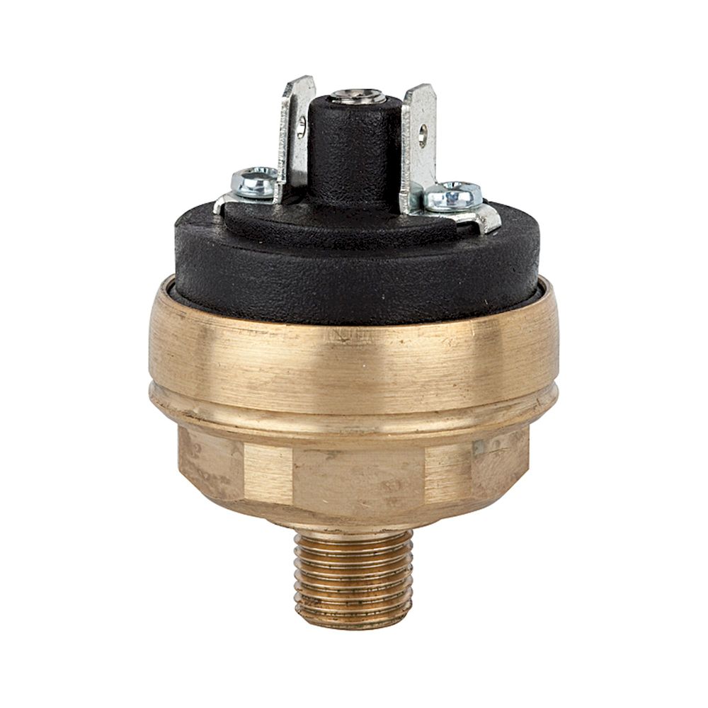 Riegler 103072.Pressure switch low pressure range, Brass, M10x1, 0.2 - 1.5 bar