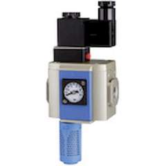 Riegler 116348.3/2-way start-up valve »G«, 230 V AC / 50 Hz, Size 300, G 1/2