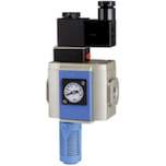 Riegler 116346.3/2-way start-up valve »G«, 230 V AC / 50 Hz, Size 300, G 3/8