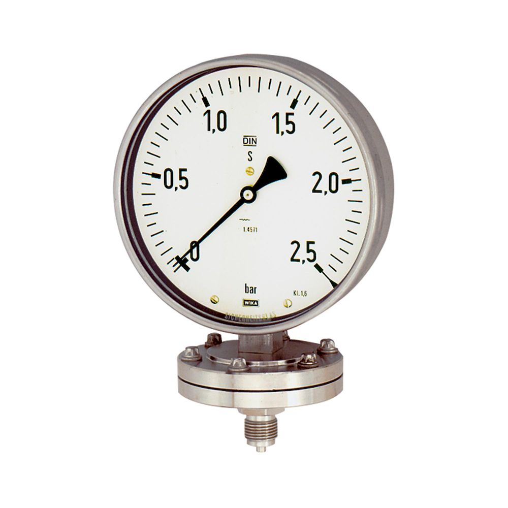 Riegler 102593.Diaphragm pressure gauge, Chemical design, G 1/2, 0-6 bar, Ø 100